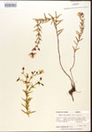 000015738-thumbnail.jpg