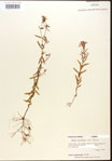 000015739-thumbnail.jpg