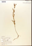 000015740-thumbnail.jpg