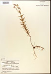000015741-thumbnail.jpg