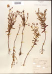 000015742-thumbnail.jpg