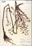 000015745-thumbnail.jpg