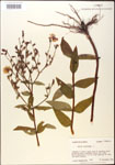 000015747-thumbnail.jpg