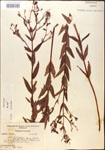 000015749-thumbnail.jpg