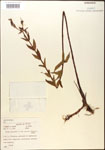 000015750-thumbnail.jpg
