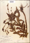 000015751-thumbnail.jpg