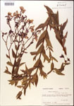 000015752-thumbnail.jpg