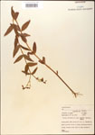 000015753-thumbnail.jpg