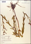 000015757-thumbnail.jpg