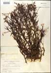 000015758-thumbnail.jpg