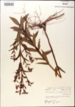 000015760-thumbnail.jpg