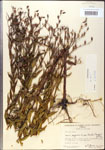 000015763-thumbnail.jpg