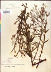 000015765-thumbnail.jpg