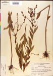 000015766-thumbnail.jpg