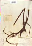 000015769-thumbnail.jpg