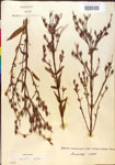 000015770-thumbnail.jpg