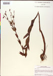 000015773-thumbnail.jpg