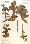 000015840-thumbnail.jpg