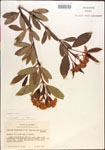 000015841-thumbnail.jpg
