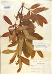 000015852-thumbnail.jpg