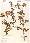 000015857-thumbnail.jpg