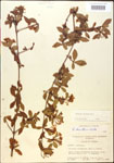 000015864-thumbnail.jpg