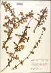 000015866-thumbnail.jpg
