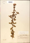 000015875-thumbnail.jpg