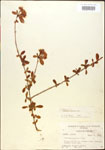 000015902-thumbnail.jpg
