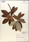 000016198-thumbnail.jpg