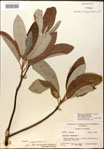 000016204-thumbnail.jpg
