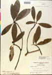 000016206-thumbnail.jpg