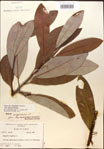 000016207-thumbnail.jpg