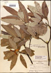 000016210-thumbnail.jpg