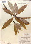 000016211-thumbnail.jpg
