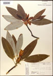 000016216-thumbnail.jpg