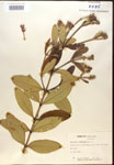 000016415-thumbnail.jpg