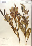 000016417-thumbnail.jpg
