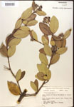 000016479-thumbnail.jpg