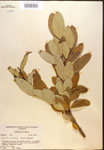 000016485-thumbnail.jpg