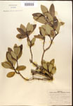 000016487-thumbnail.jpg