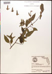 000016489-thumbnail.jpg