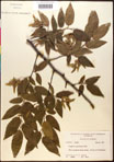 000016501-thumbnail.jpg