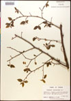 000016506-thumbnail.jpg