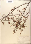 000016522-thumbnail.jpg