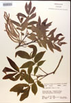 000016535-thumbnail.jpg