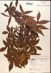 000016540-thumbnail.jpg