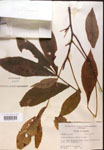 000016541-thumbnail.jpg