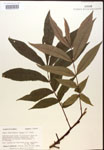 000016545-thumbnail.jpg