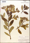 000016590-thumbnail.jpg
